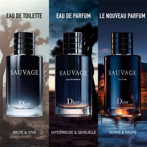 sauvage de dior femme|fragrances like Dior Sauvage.